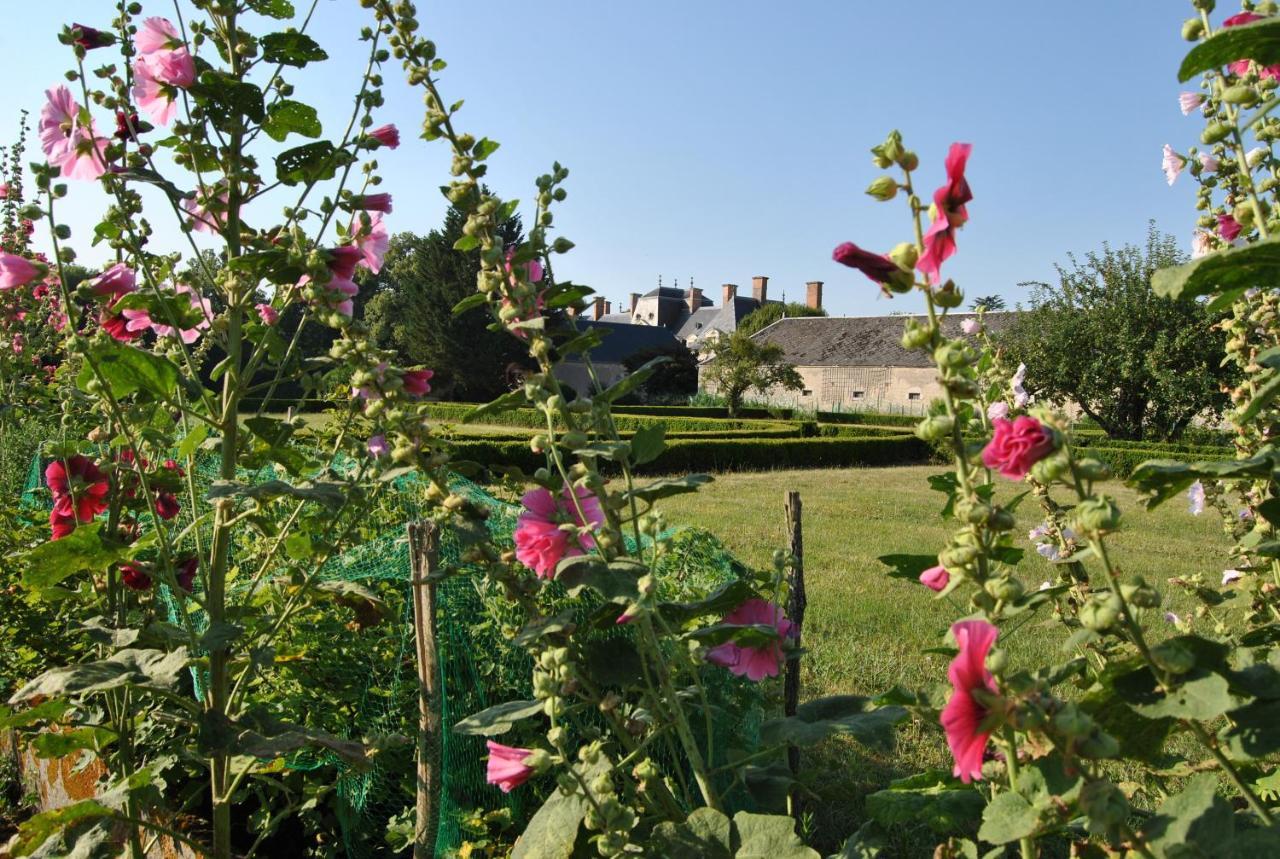 Chateau La Touanne Loire Valley Baccon Eksteriør bilde