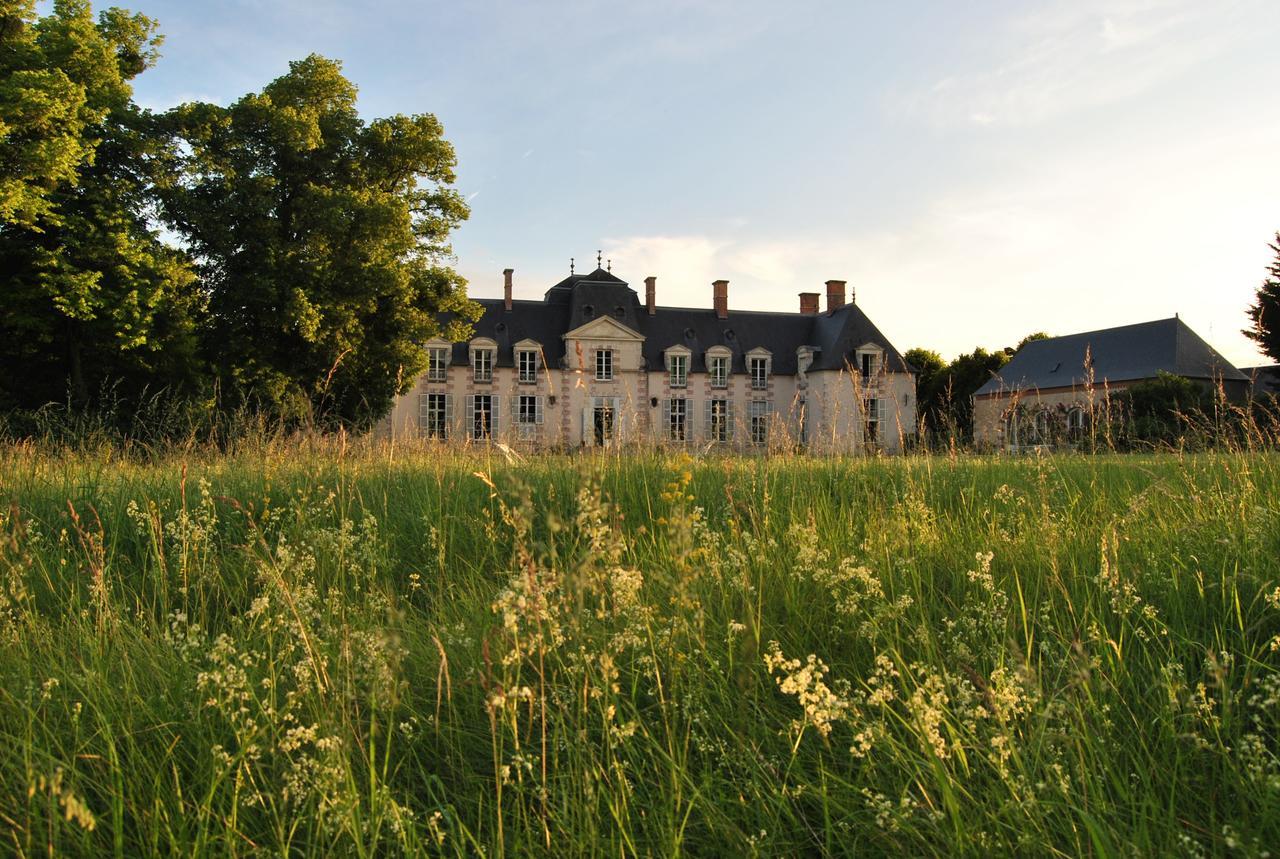 Chateau La Touanne Loire Valley Baccon Eksteriør bilde