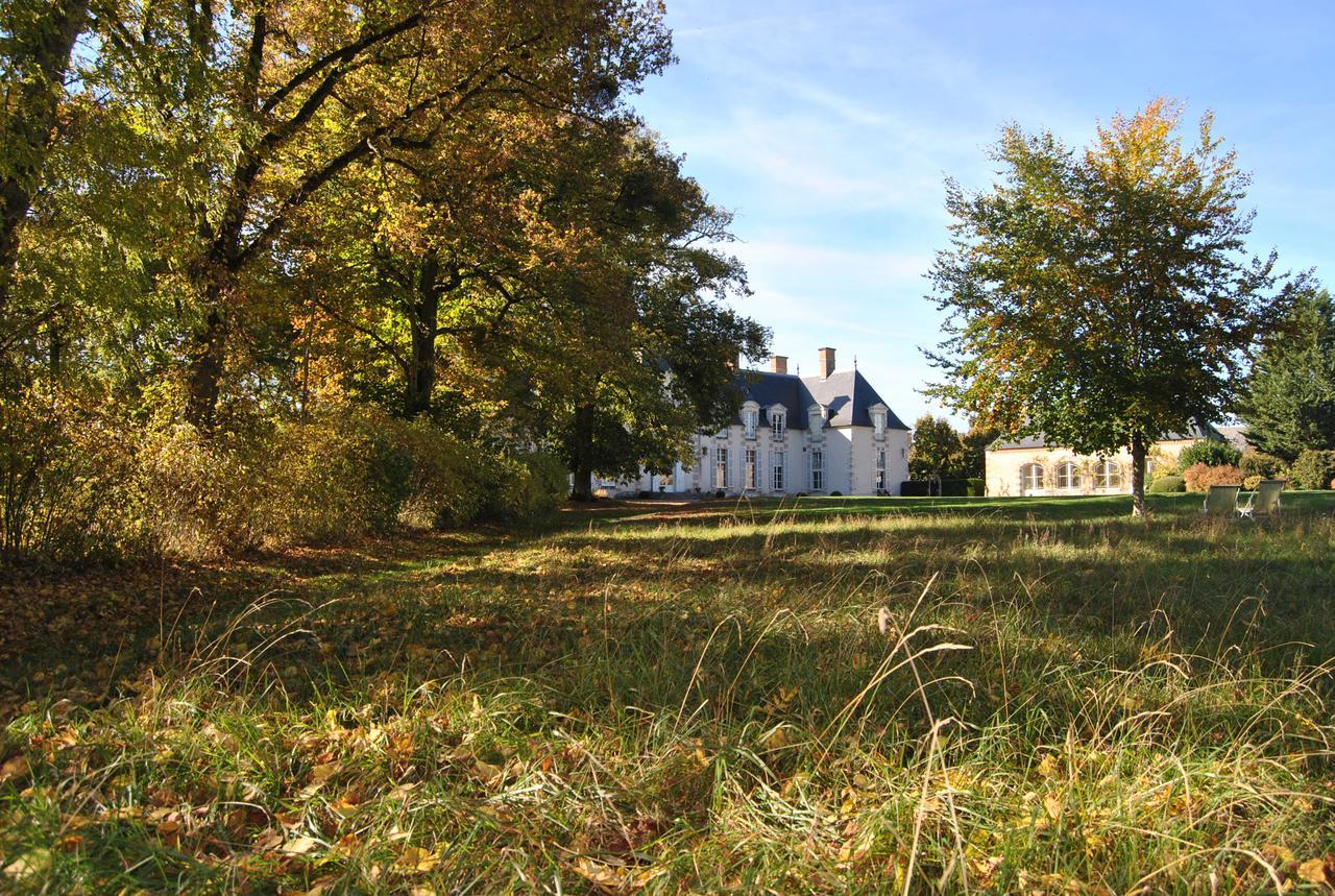Chateau La Touanne Loire Valley Baccon Eksteriør bilde