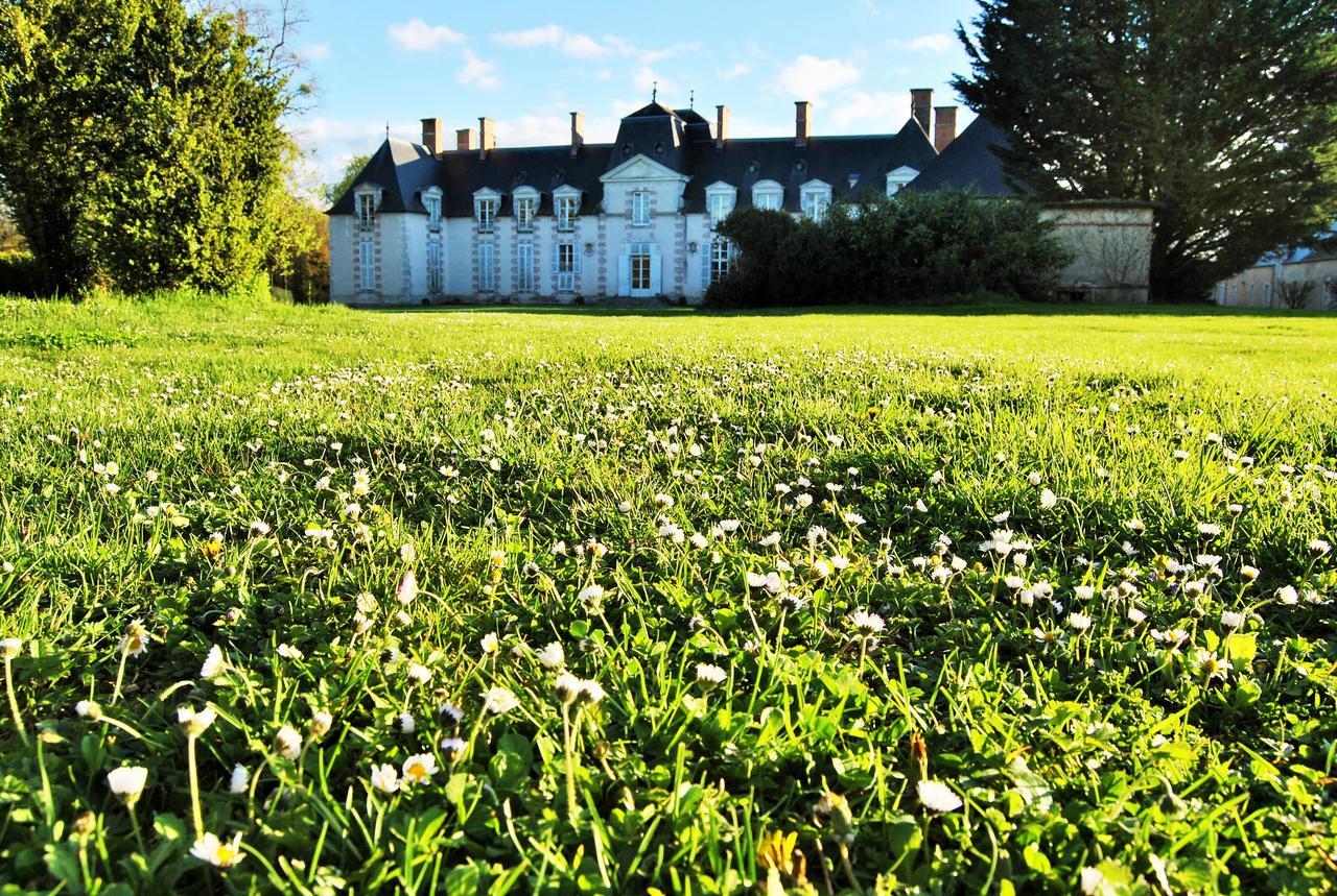 Chateau La Touanne Loire Valley Baccon Eksteriør bilde