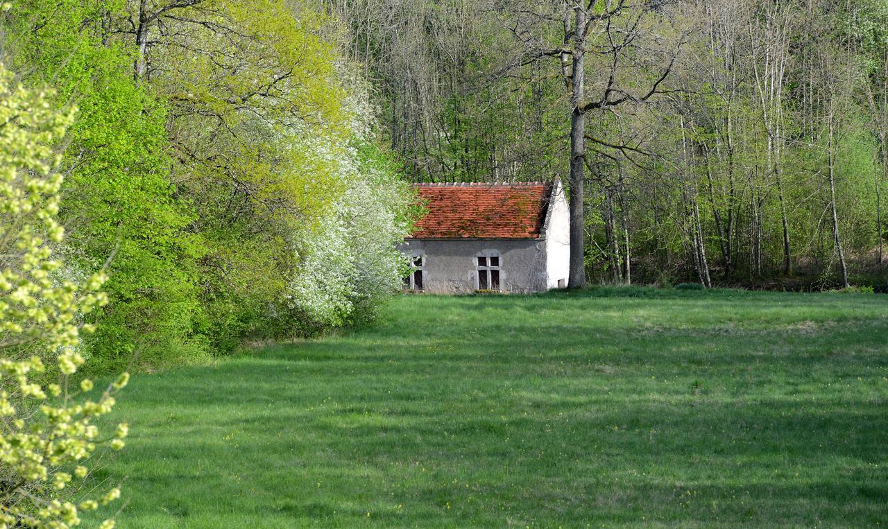 Chateau La Touanne Loire Valley Baccon Eksteriør bilde